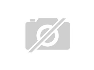 Islandhengst aus 2022